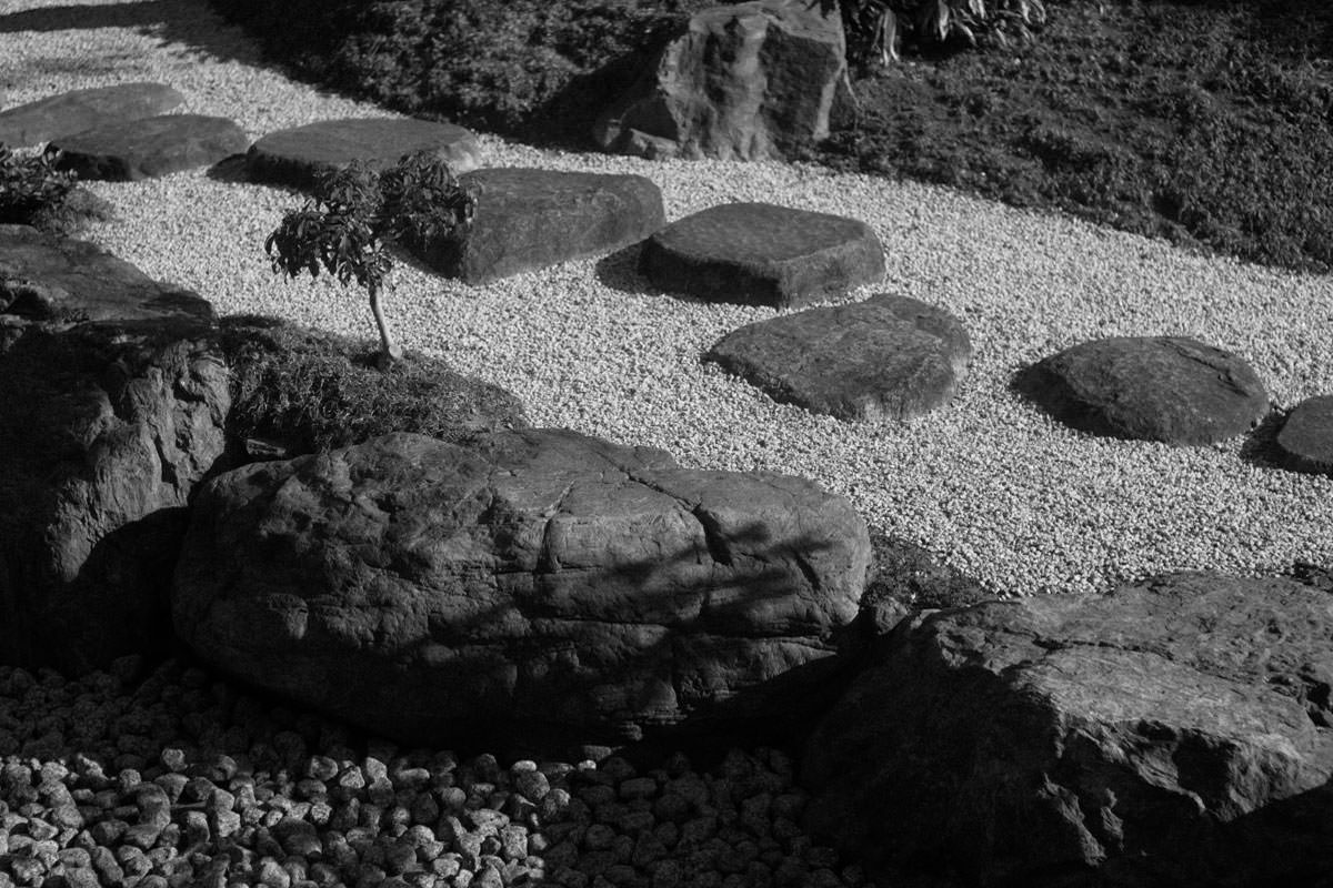 Leica (ライカ) で撮った牡丹の写真